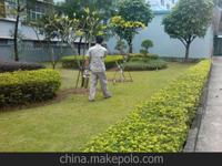 南寧第45屆體操世界錦標(biāo)賽主賽場(chǎng)、訓(xùn)練場(chǎng)病媒生物防制工作